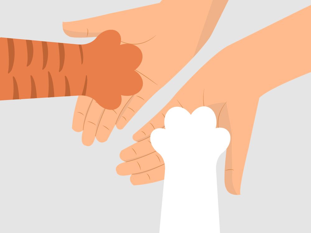 品牌故事 品牌故事