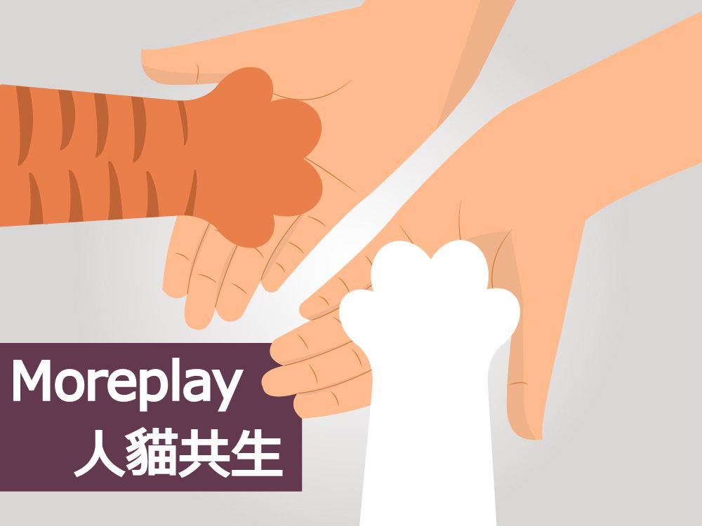 Moreplay人貓共生