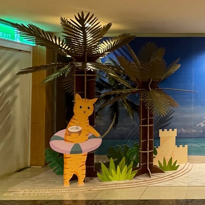 夏日風情-空間佈置